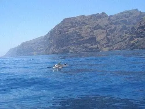 شقة El Paraiso En Los Gigantes Santiago del Teide إسبانيا