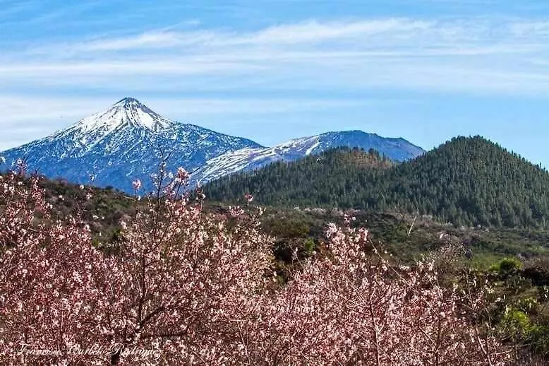 Apartmán El Paraiso En Los Gigantes Santiago del Teide